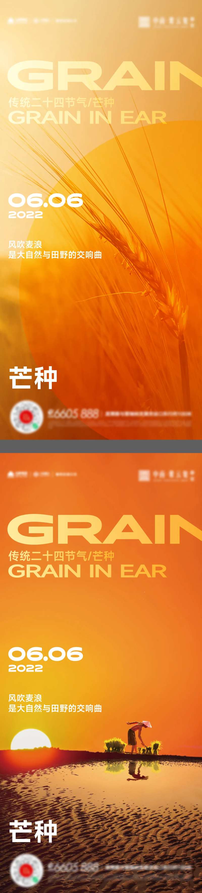 芒种小满立秋海报-采灵感-cailinggan.com