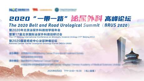 泌尿外科论坛背景板-采灵感-https://www.cailinggan.com/