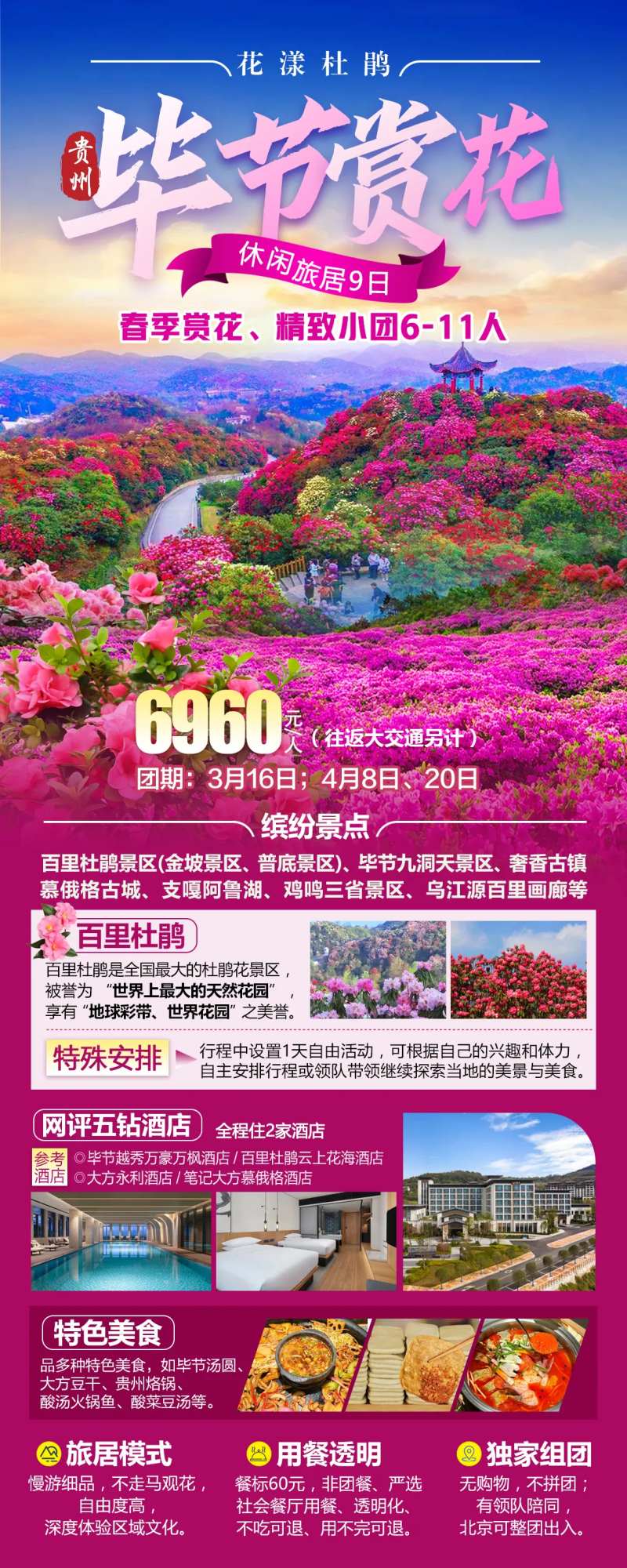 毕节赏花杜鹃花春季赏花-采灵感-cailinggan.com