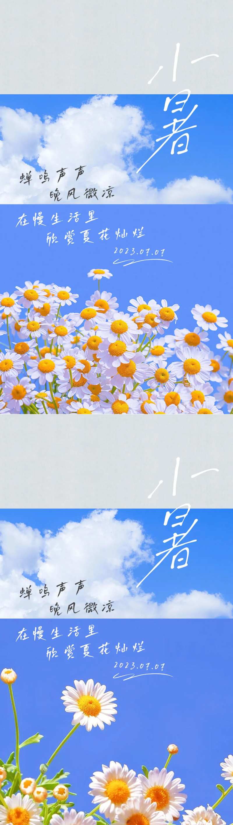 小署节气海报-采灵感-cailinggan.com