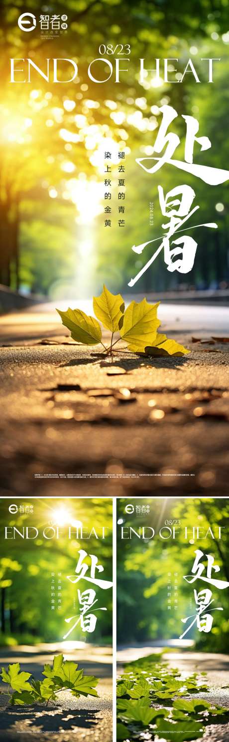 处暑二十四节气秋植物唯美 -采灵感-https://www.cailinggan.com/