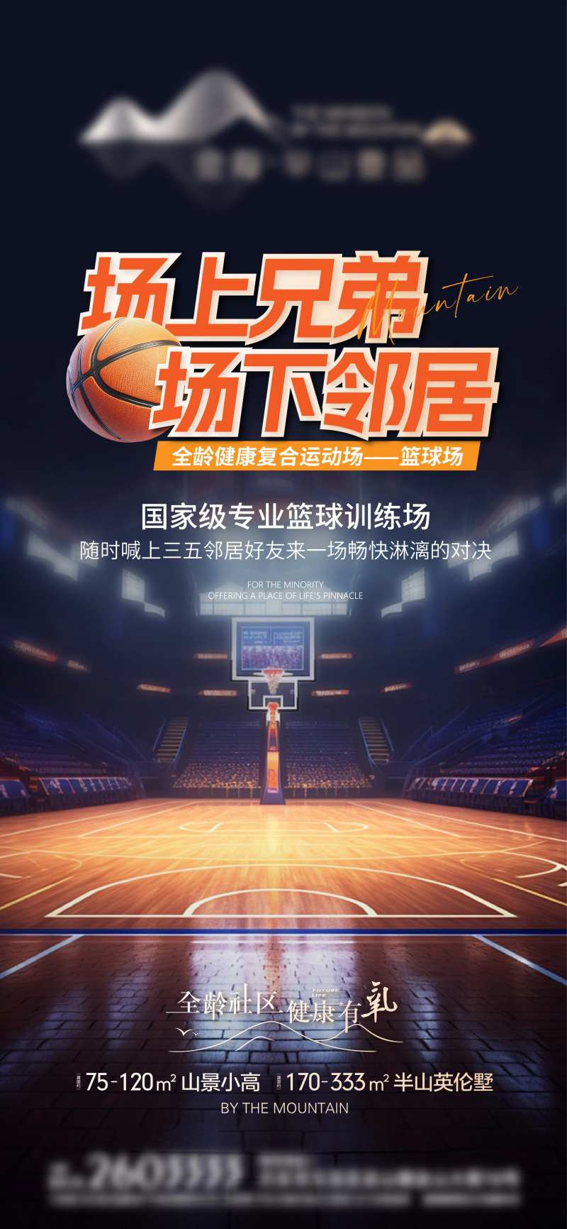 地产配套篮球体育馆宣传海报-采灵感-cailinggan.com
