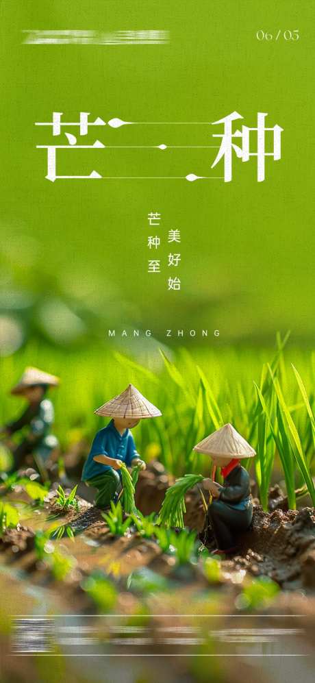芒种节气微距海报-采灵感-https://www.cailinggan.com/