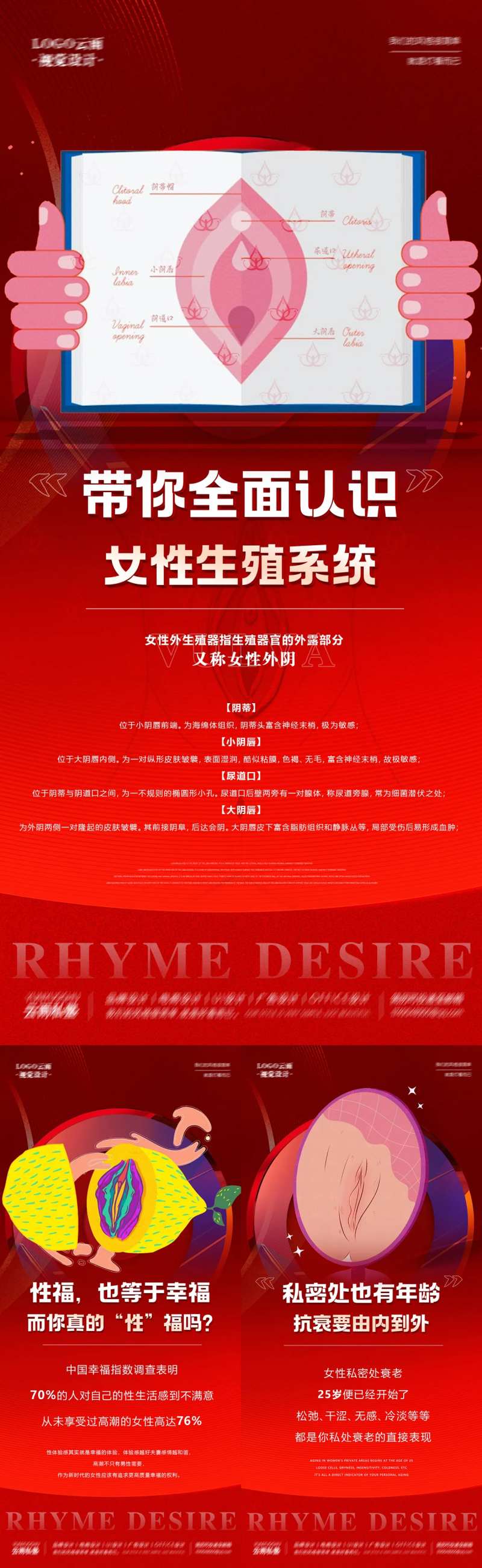 私密知识带你全面认识海报-采灵感-cailinggan.com