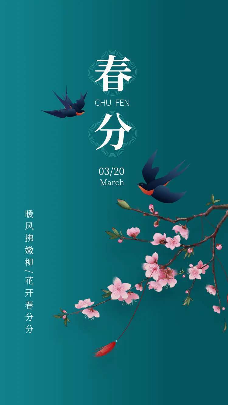 春分节气移动端海报-采灵感-cailinggan.com