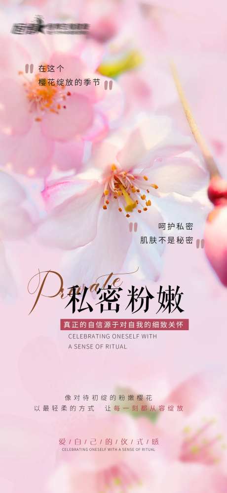 私密粉嫩宣传海报-采灵感-https://www.cailinggan.com/
