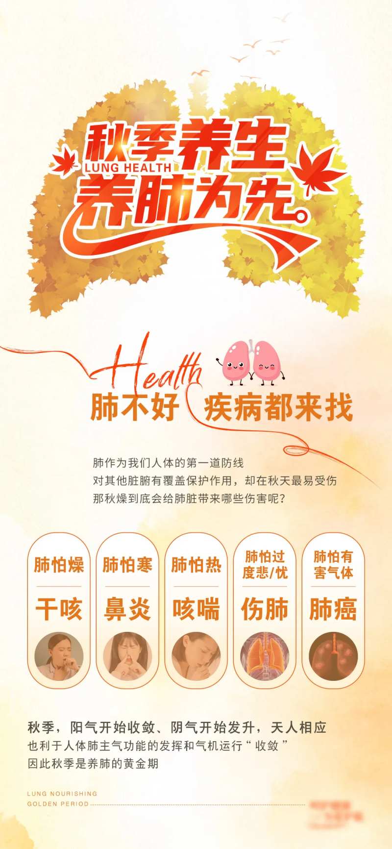 秋季养生科普海报-采灵感-cailinggan.com