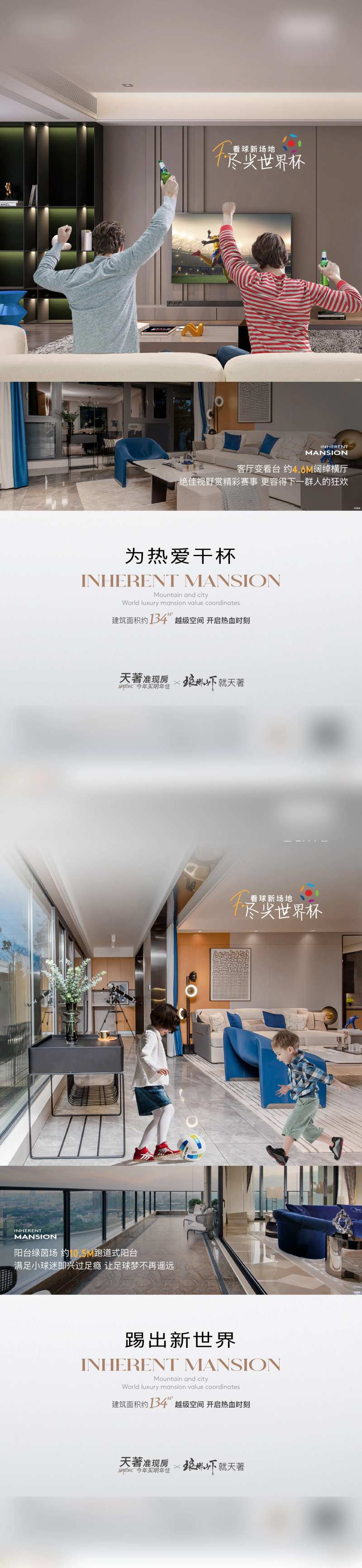 户型价值点系列海报-采灵感-cailinggan.com