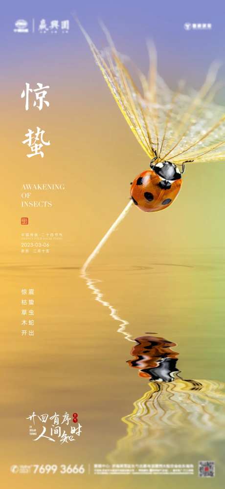 惊蛰二十四节气海报-采灵感-https://www.cailinggan.com/