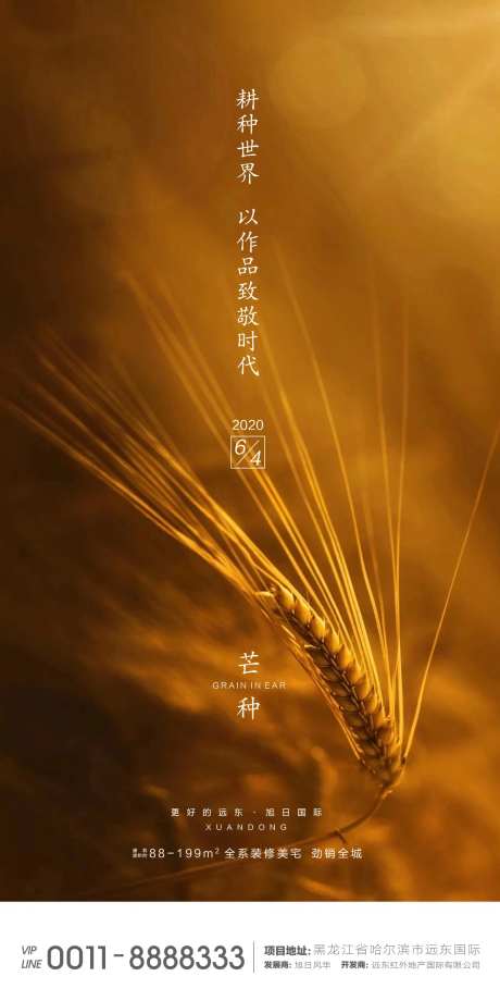 芒种微信海报-采灵感-https://www.cailinggan.com/