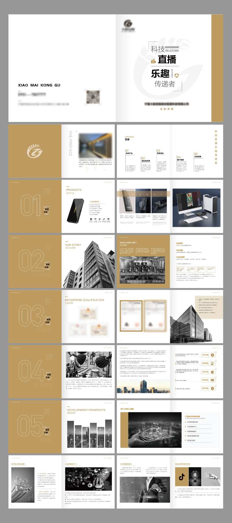 科技公司画册-采灵感-cailinggan.com