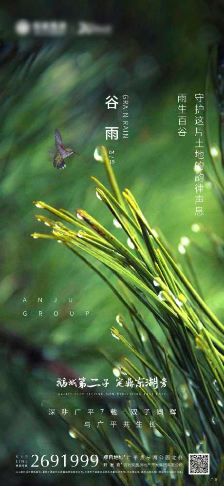 谷雨节气海报-采灵感-https://www.cailinggan.com/