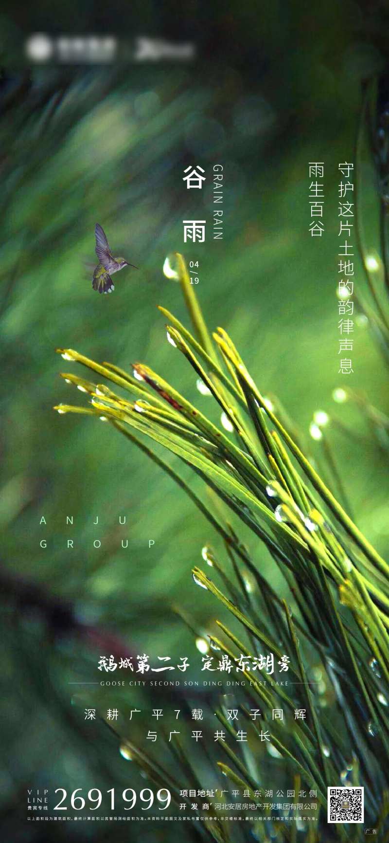 谷雨节气海报-采灵感-cailinggan.com