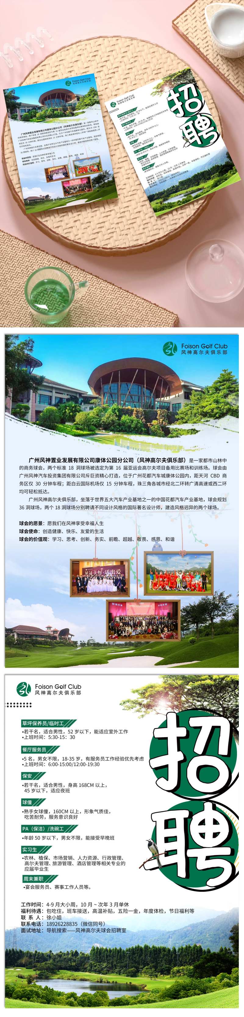 高尔夫绿色自然招聘DM宣传单页-采灵感-cailinggan.com