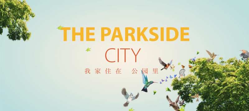 公园里鸟类树木活动展板-采灵感-cailinggan.com