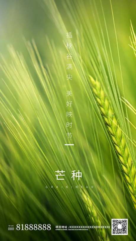二十四节气芒种绿色麦子地产海报-采灵感-https://www.cailinggan.com/