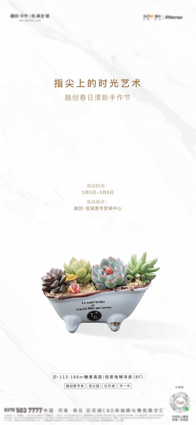 多肉植物海报-采灵感-cailinggan.com