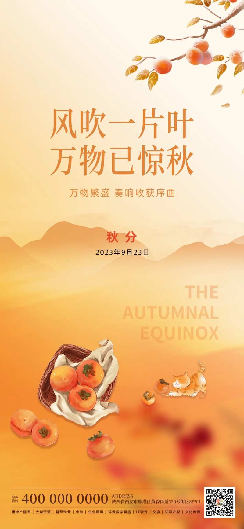 秋分传统24节气柿子小猫秋天海报-采灵感-cailinggan.com