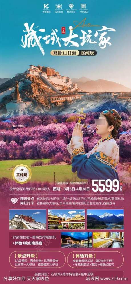 西藏大玩家海报-采灵感-https://www.cailinggan.com/