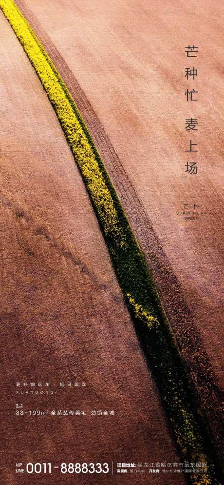 芒种微信-采灵感-https://www.cailinggan.com/