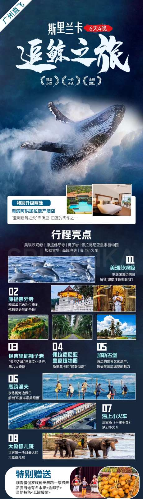 斯里兰卡追鲸之旅-采灵感-https://www.cailinggan.com/