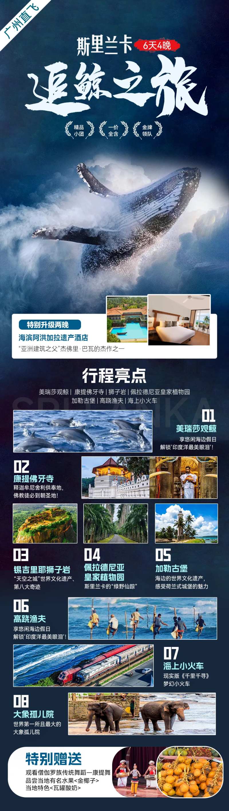 斯里兰卡追鲸之旅-采灵感-cailinggan.com