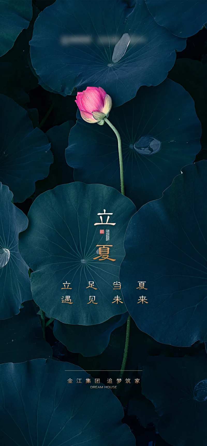 立夏节气海报-采灵感-cailinggan.com