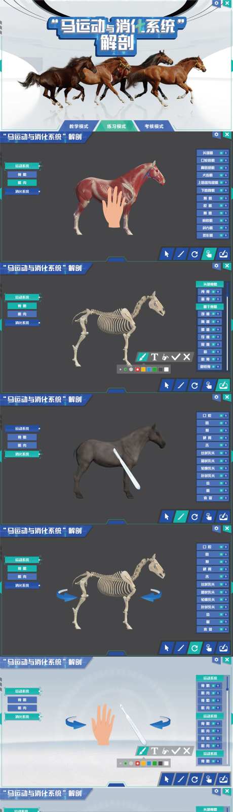 高校-采灵感-https://www.cailinggan.com/