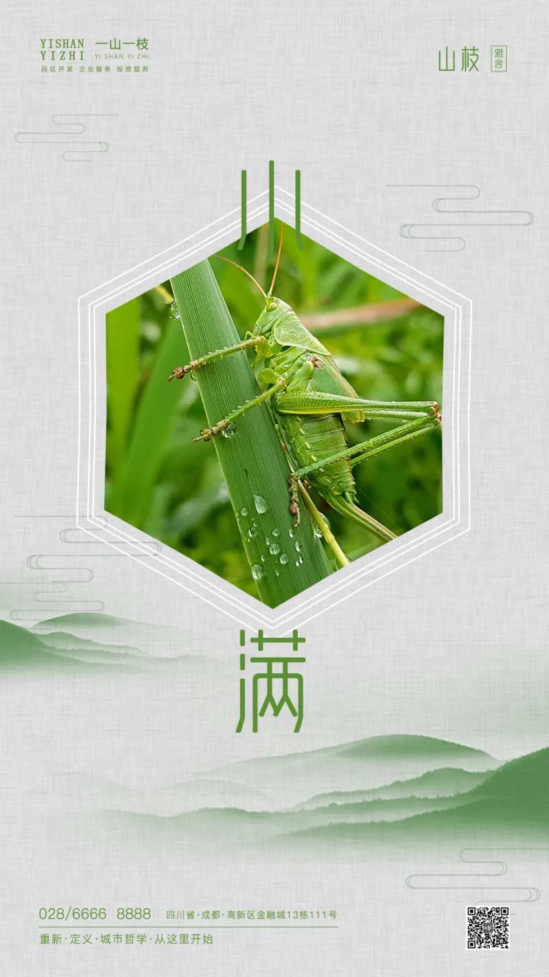 中国风二十四节气夏至海报-采灵感-cailinggan.com