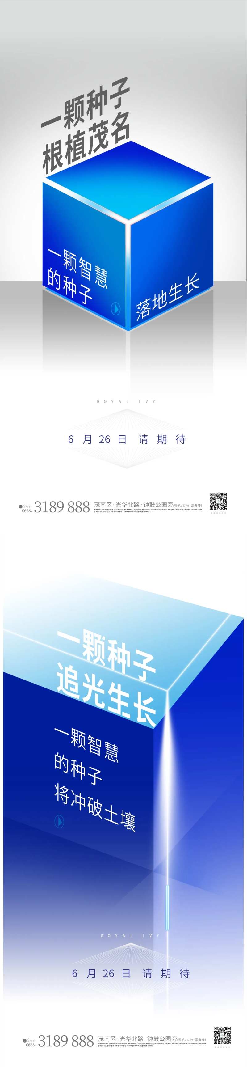 新品面市-采灵感-cailinggan.com