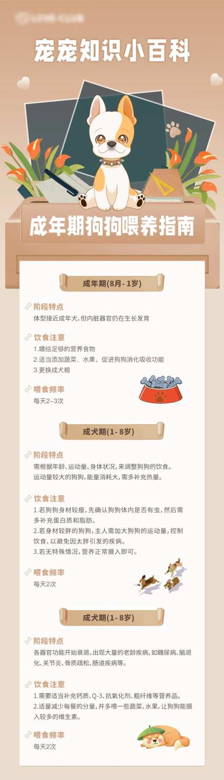 狗狗宠物知识小百科长图海报-采灵感-https://www.cailinggan.com/