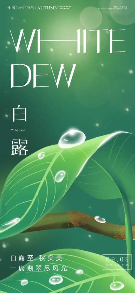 白露寒露二十四时节日节气稿-采灵感-https://www.cailinggan.com/