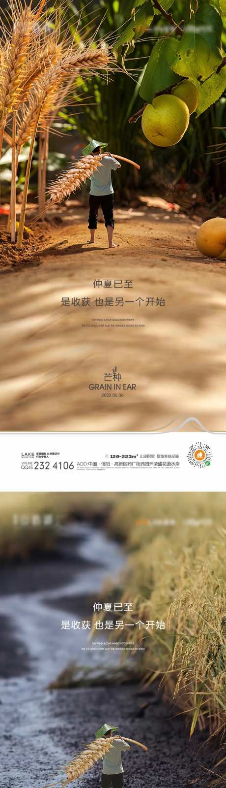 芒种海报-采灵感-https://www.cailinggan.com/