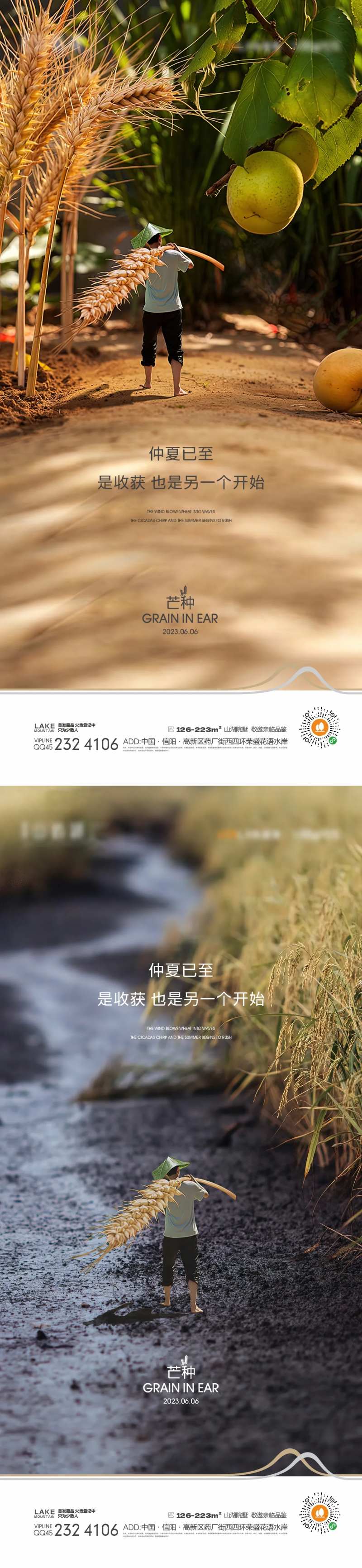 芒种海报-采灵感-cailinggan.com