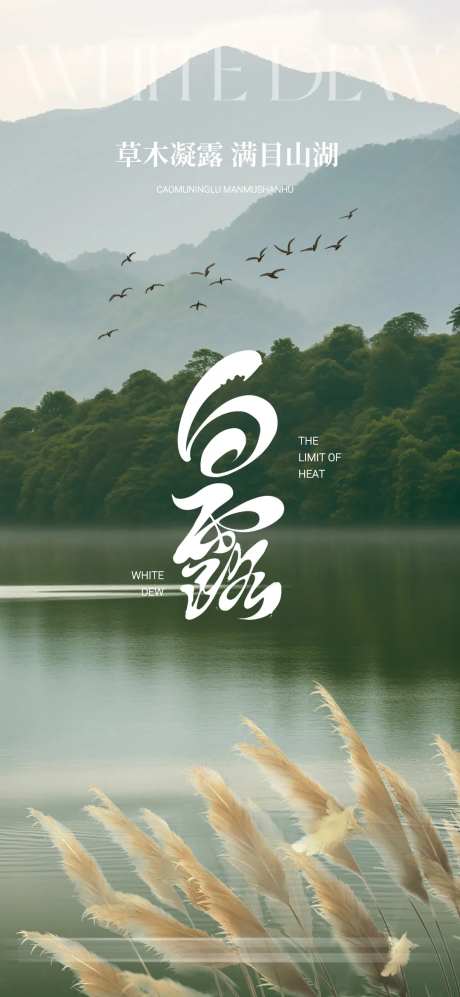 白露传统文化节气海报-采灵感-https://www.cailinggan.com/