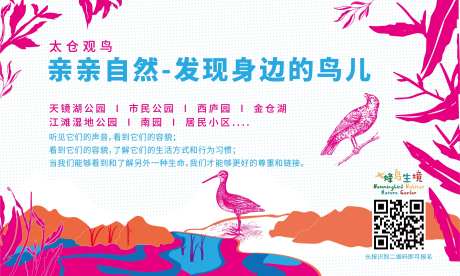 自然教育观鸟活动背景板-采灵感-https://www.cailinggan.com/