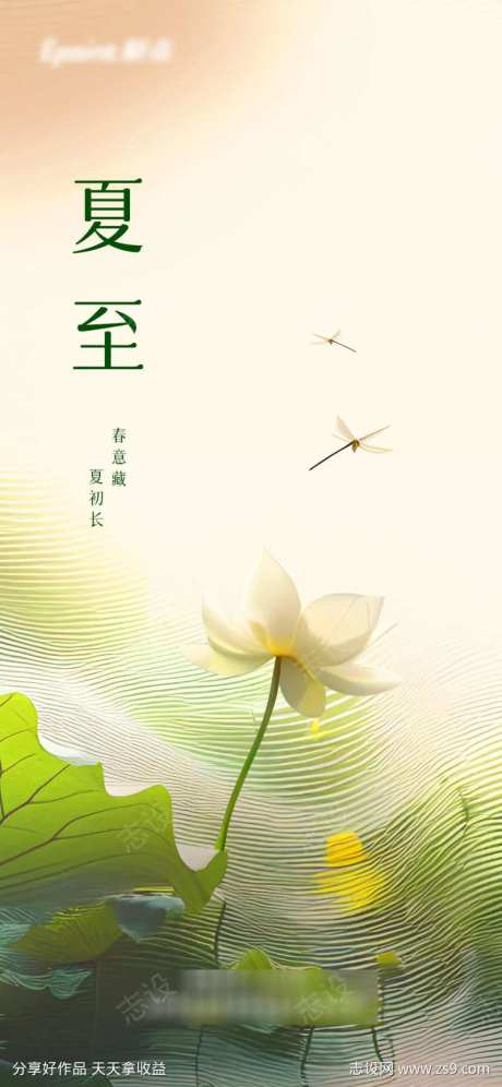 夏至节气海报-采灵感-cailinggan.com