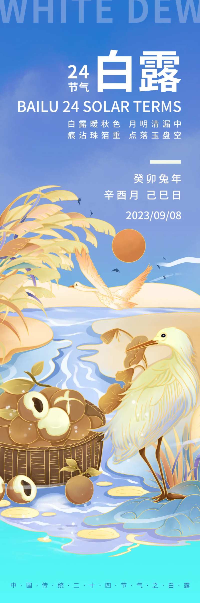 白露节气海报-采灵感-cailinggan.com