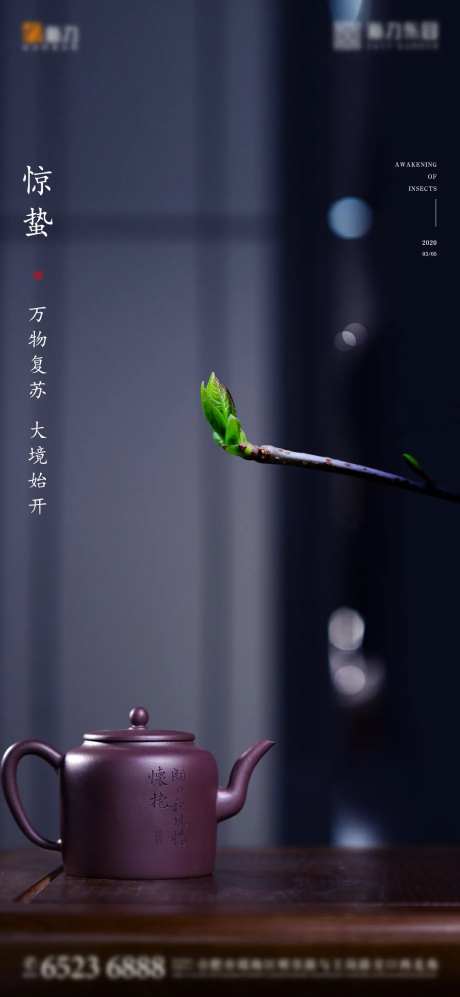 惊蛰节气移动端海报-采灵感-cailinggan.com