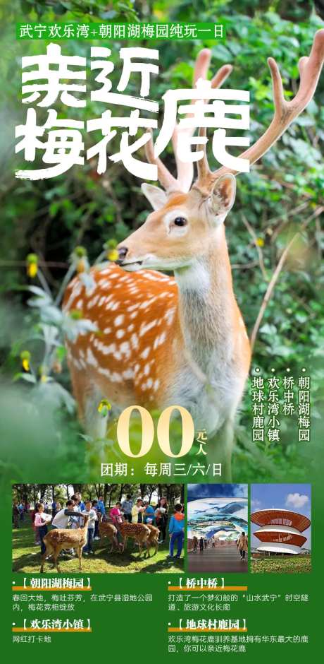 亲近梅花鹿02-采灵感-https://www.cailinggan.com/