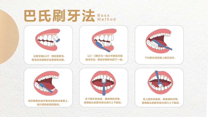 口腔牙齿巴氏刷牙法-采灵感-cailinggan.com