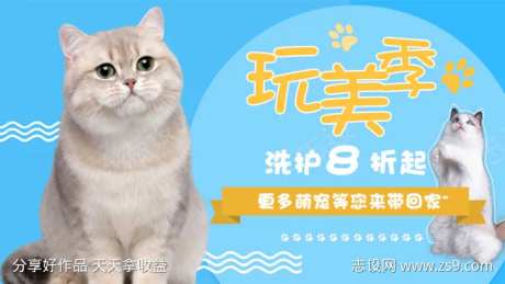 蓝色简约宠物爱宠玩美季洗护折扣-采灵感-https://www.cailinggan.com/