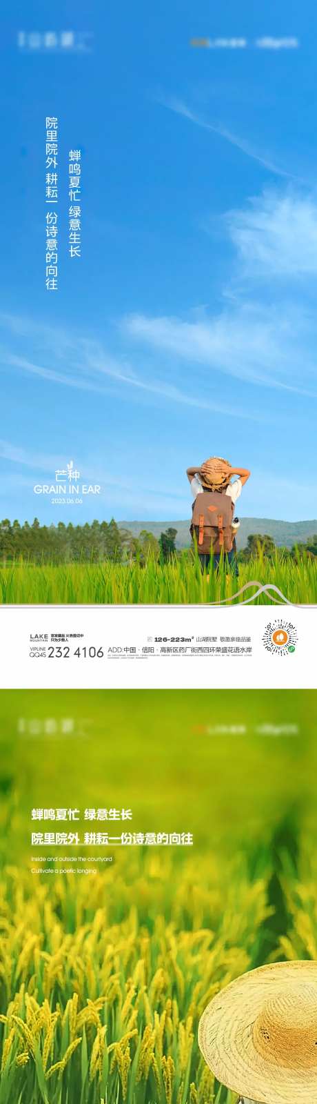 芒种海报-采灵感-https://www.cailinggan.com/