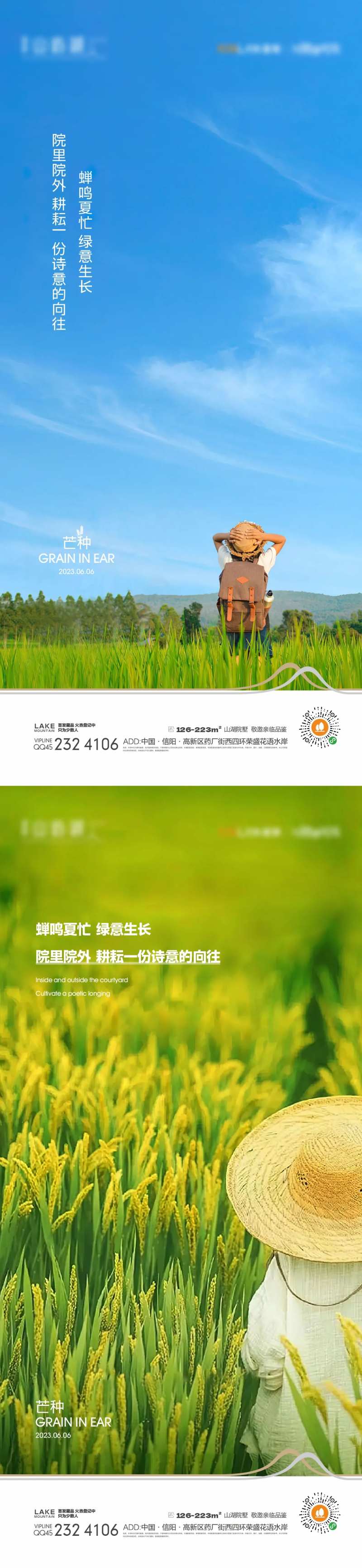 芒种海报-采灵感-cailinggan.com