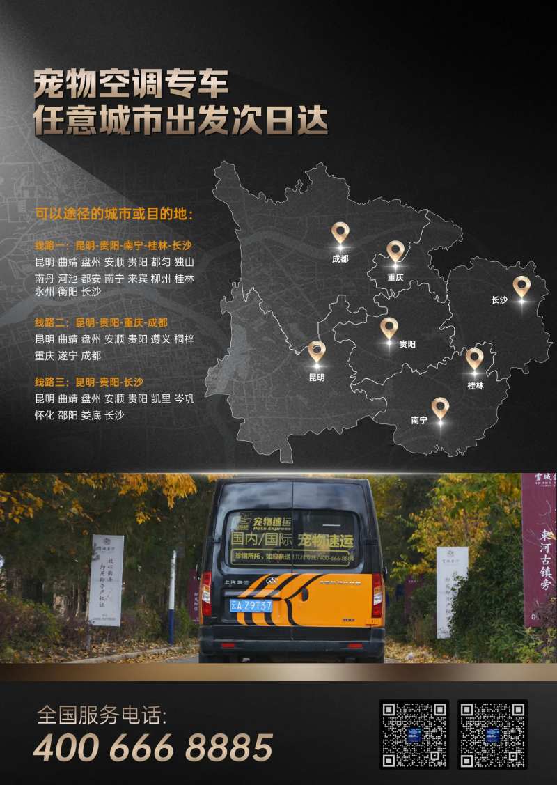 宠物运输-采灵感-cailinggan.com