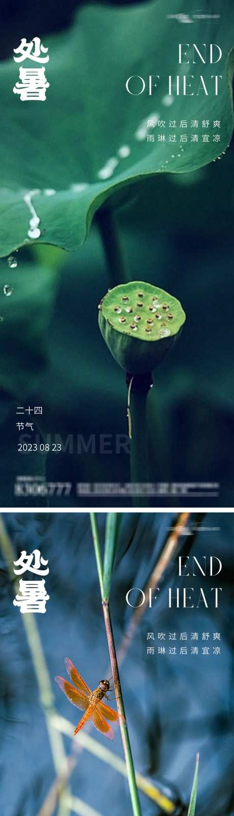 处暑24节气荷叶海报-采灵感-https://www.cailinggan.com/