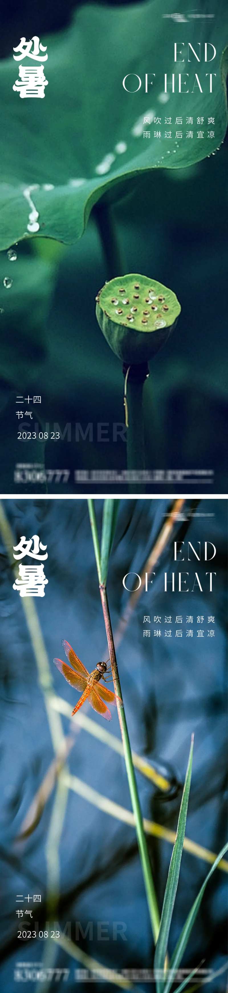处暑24节气荷叶海报-采灵感-cailinggan.com