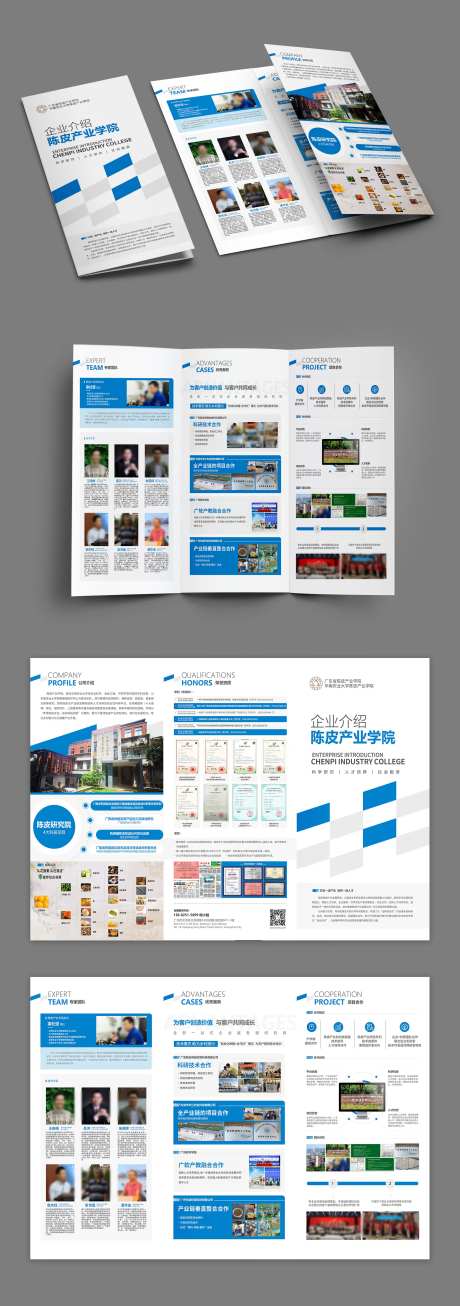陈皮研究院企业介绍三折页-采灵感-https://www.cailinggan.com/