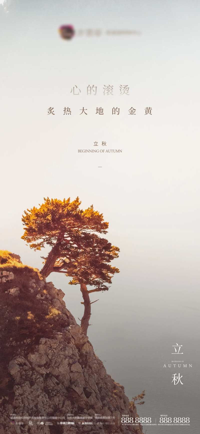 立秋节气移动端海报-采灵感-cailinggan.com