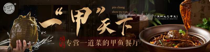 甲鱼-采灵感-cailinggan.com